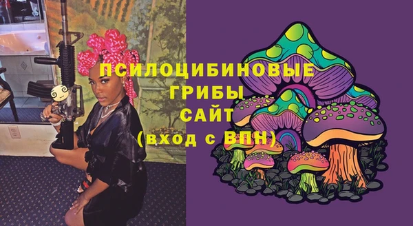 крисы Алексеевка