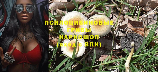 2c-b Алексин