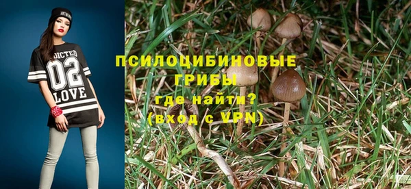 ешки Алзамай