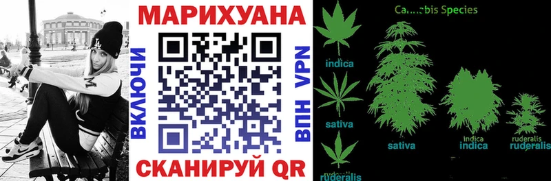 купить закладку Сенгилей Конопля ГИДРОПОН